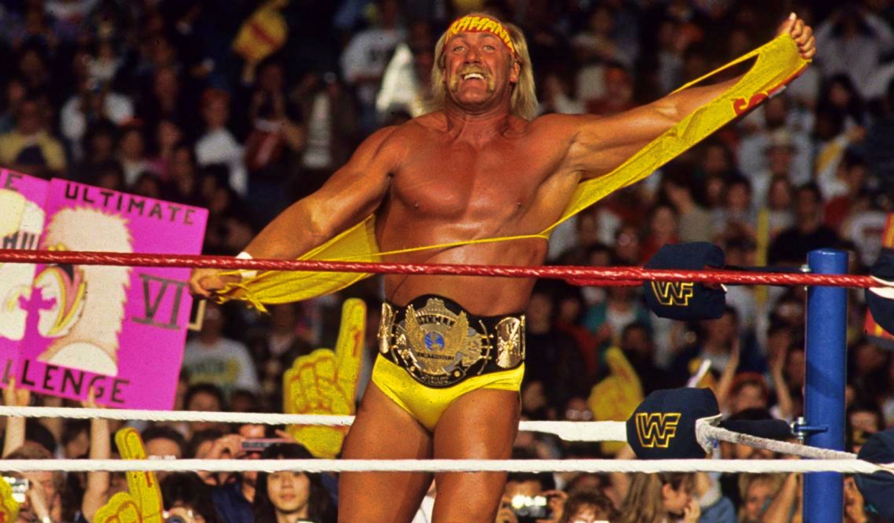 Hulk Hogan WWE Title